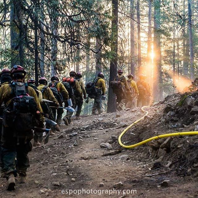 Wildland Firefighting Photos